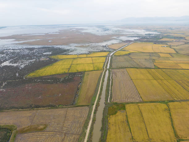 Samsun bird sanctuary,birdwatching place