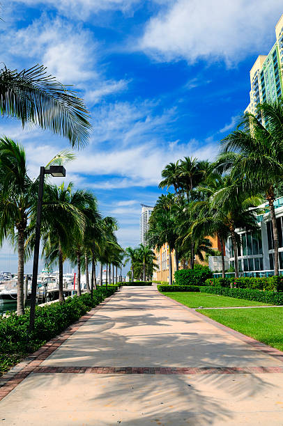 istock miami beach marina walk way 176123026