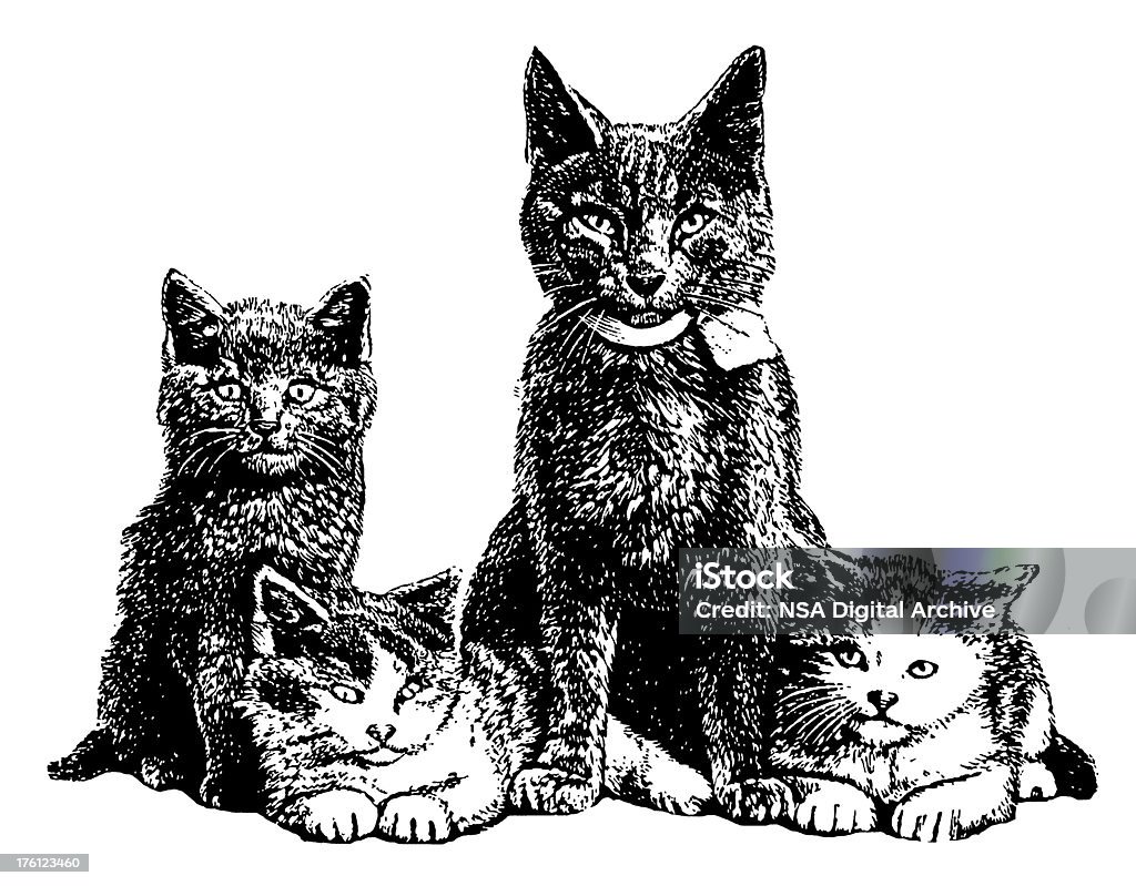 Gatos/antigüedades de ilustraciones de animales - Ilustración de stock de Almohadillas - Pata de animal libre de derechos