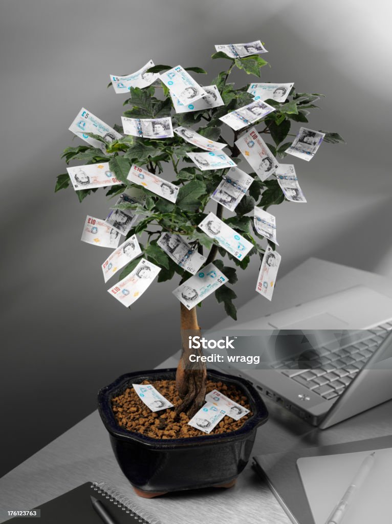 Árbol de dinero con Libras británicas - Foto de stock de Castaño de Guayana libre de derechos