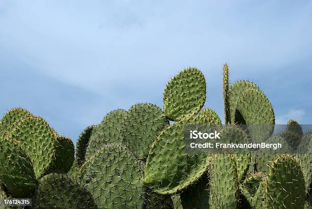 Kaktus Granicy - zdjęcia stockowe i więcej obrazów Ameryka Południowa - Ameryka Południowa, Bez ludzi, Biznes
