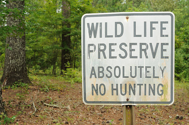 istock Wild life preserve absolutely no hunting 176124468