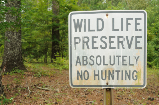 No hunting sign in wildlife preserve