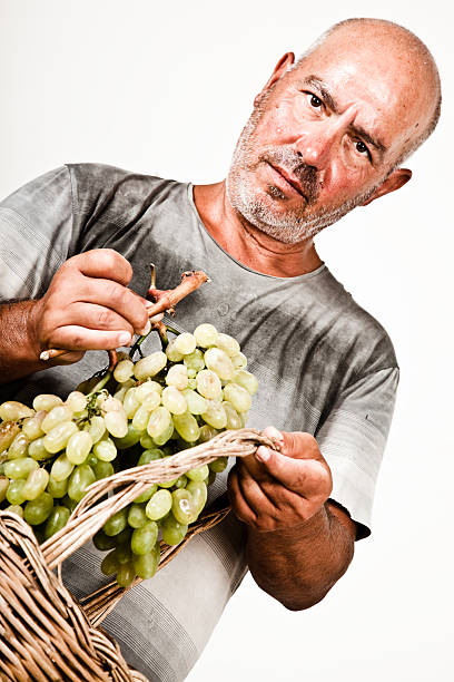istock Man holding a bunch of grapes 176124560