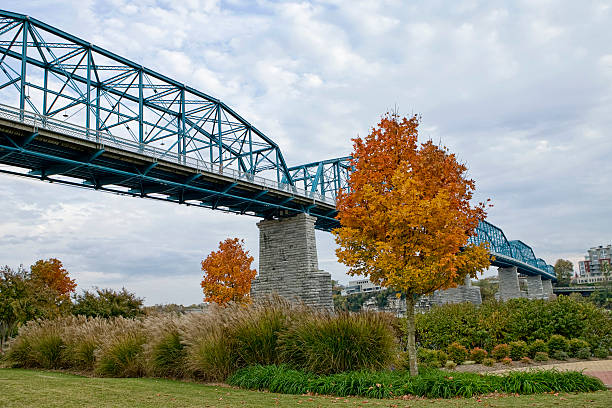 Bridge in the Fall stock photo