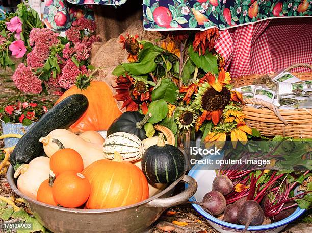 Llena De Productos Vegetales Foto de stock y más banco de imágenes de Alimento - Alimento, Arreglo, Belleza