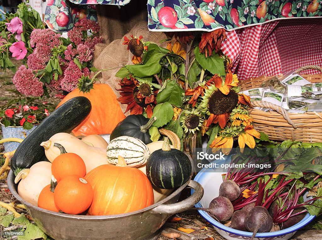Vivace verdura prodotti - Foto stock royalty-free di Alimentazione sana