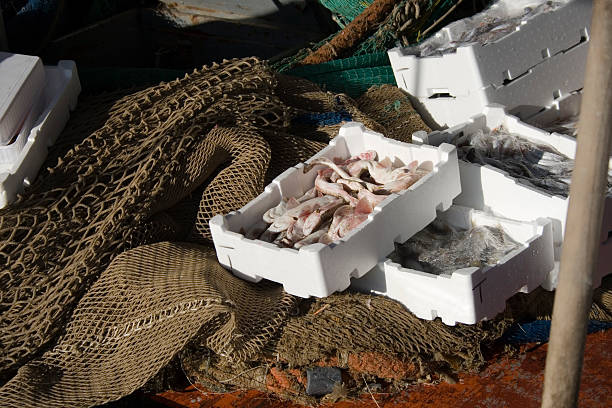 fresh fish market on the boat.
