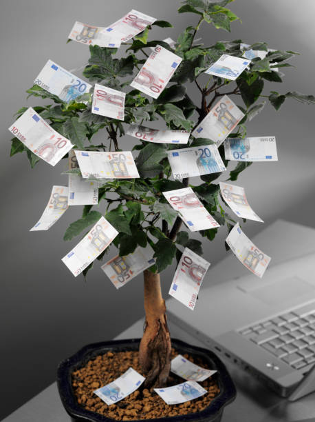 istock Euros on a Bonsai Money Tree in the Office 176125676