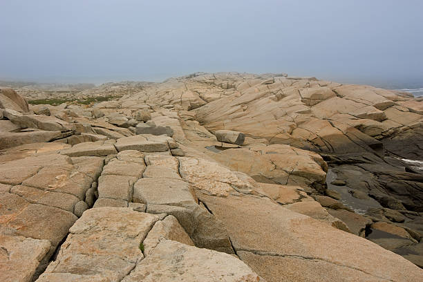 istock Rocky shore at Peggy's Cove 176125981