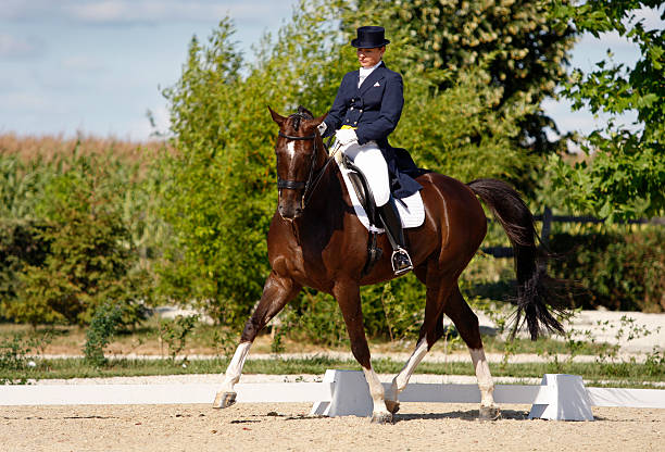 istock A wan riding a horse on a competition 176126413