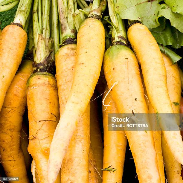 Parsnips - オーガニックのストックフォトや画像を多数ご用意 - オーガニック, カラー画像, スクエア