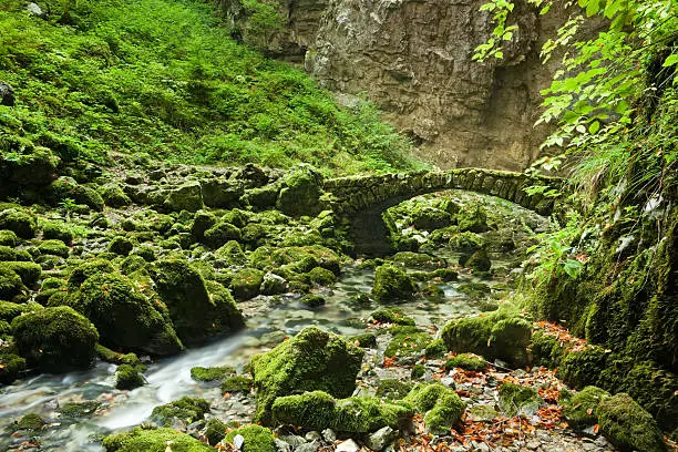 Photo of Stone bridge over a river in a gorge in Slovenia