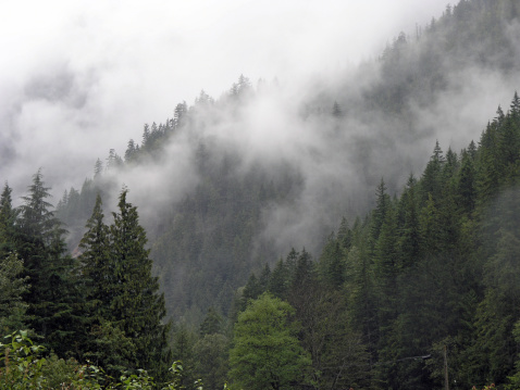 An early morning mist hugs the mountains.