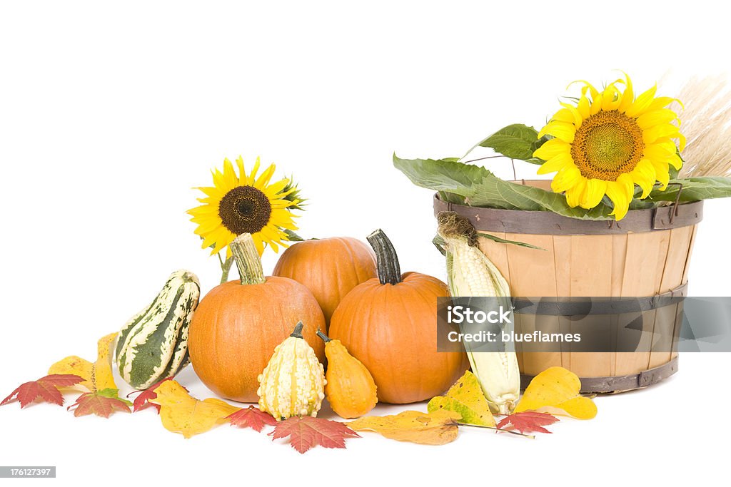 fall harvest a collection of fall produce and sunflowers and leaves Agriculture Stock Photo