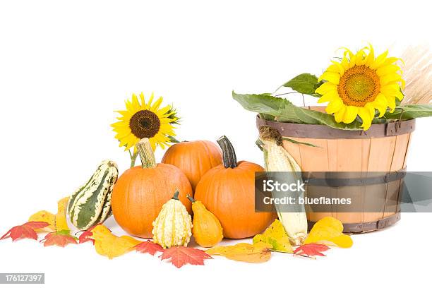 Fall Harvest Stock Photo - Download Image Now - Agriculture, Autumn, Celebration Event