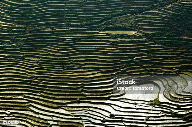 Рисовая Терраса — стоковые фотографии и другие картинки Абстрактный - Абстрактный, Без людей, Вода