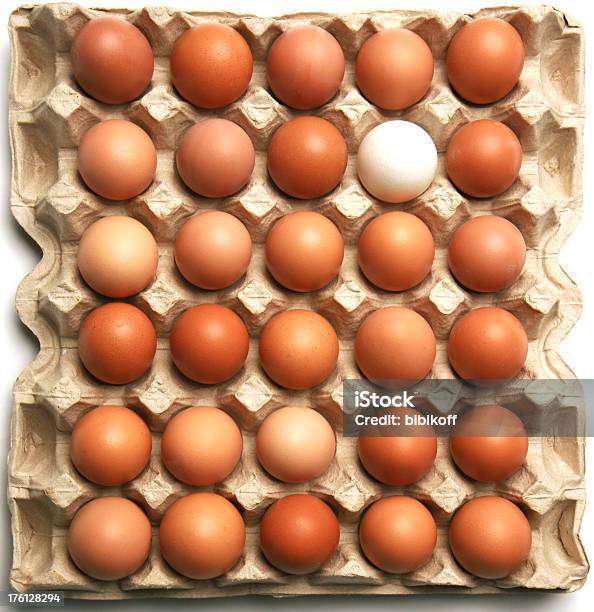 Thirty Eggs Stock Photo - Download Image Now - Animal Egg, Animal Shell, Backgrounds