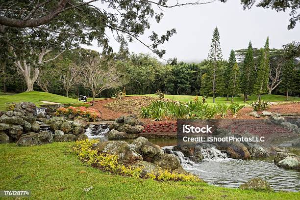 Golf Course Landscaping Stock Photo - Download Image Now - Flower, Flowerbed, Golf Course