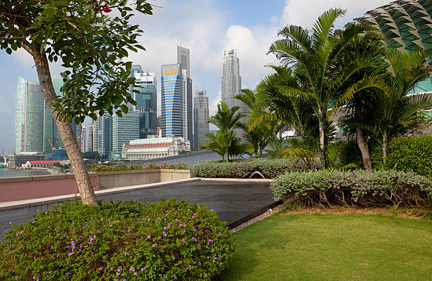 View to Marina bay from the top of a buildingIf you want to see pictures of singapore: