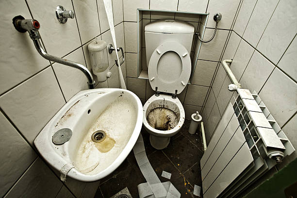 Des toilettes - Photo