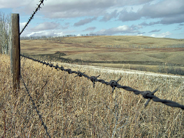 prairie muro - alberta prairie farm fence - fotografias e filmes do acervo