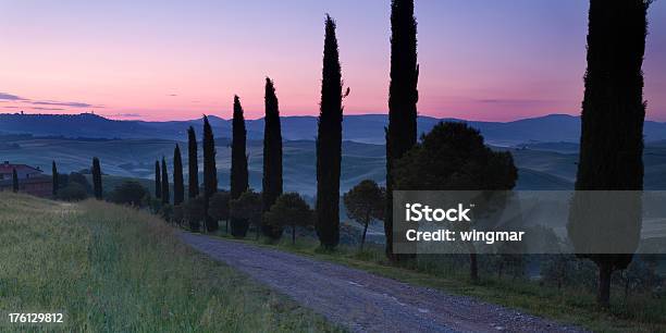 Toskanische Alley Stockfoto und mehr Bilder von Agrarbetrieb - Agrarbetrieb, Anhöhe, Bildhintergrund