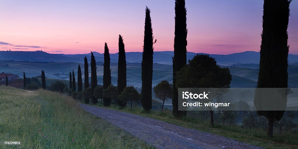 Toscana alley - Foto stock royalty-free di Agricoltura