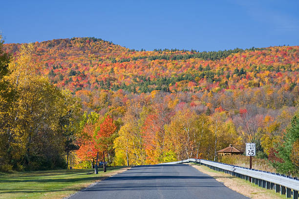 istock Brilliant Autumn Foliage 176129824