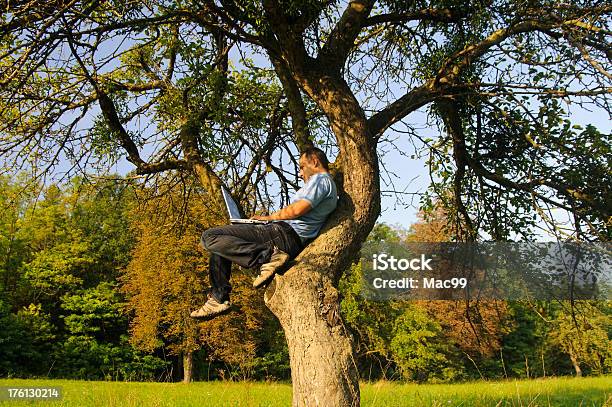 Arbeiten Auf Apple Tree Stockfoto und mehr Bilder von Akademisches Lernen - Akademisches Lernen, Großunternehmen, Lernen