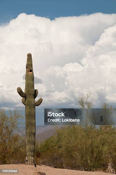 Eingehende Desert Storm Stockfoto und mehr Bilder von Arizona - Arizona, Berg, Farbbild
