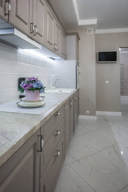 Kitchen in modern apartments, interior detail