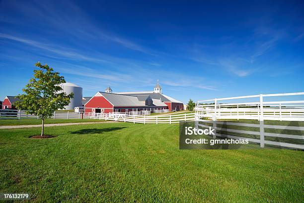 Cavallo Allevamento - Fotografie stock e altre immagini di Palazzo signorile - Palazzo signorile, Fattoria, Cavallo - Equino