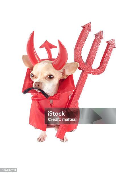 Devil Foto de stock y más banco de imágenes de Diablo - Diablo, Perro, Animal