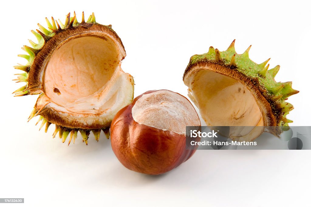 Doce doce castanhas fora sua spikey caso, isolado a branco. - Royalty-free Aberto Foto de stock