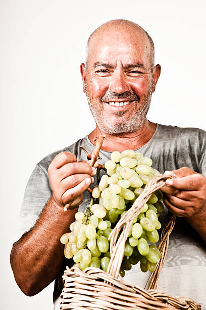 istock Man holding a bunch of grapes 176132829