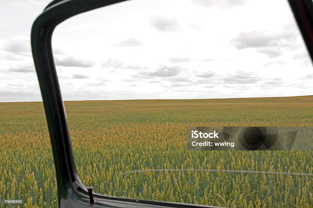 Weizen Crop durch ein Lkw-Fenster - Lizenzfrei Agrarbetrieb Stock-Foto