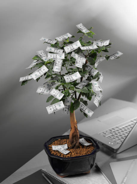 istock American Dollars on a Bonsai Tree 176133154