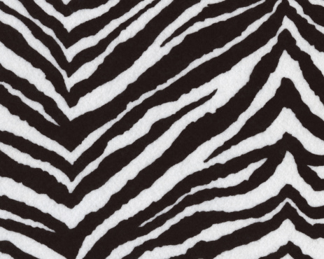 Very high resolution scan of a Zebra Print.