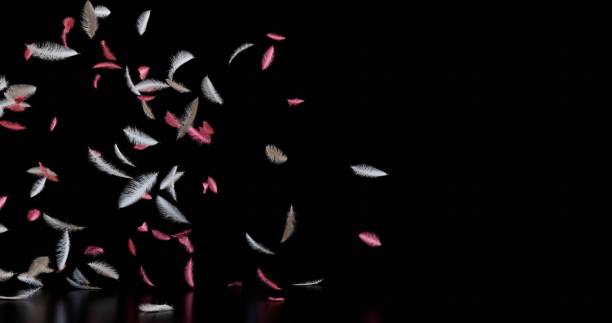 istock A scattering of red and white feathers on a black background. 1761338708