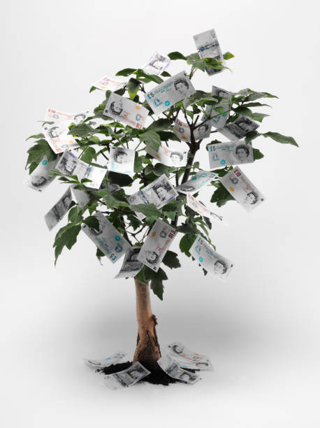 libra británica árbol de dinero - money doesnt grow on trees money tree wealth paper currency fotografías e imágenes de stock