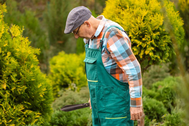 istock Gardening Senior with Shears 1761342496