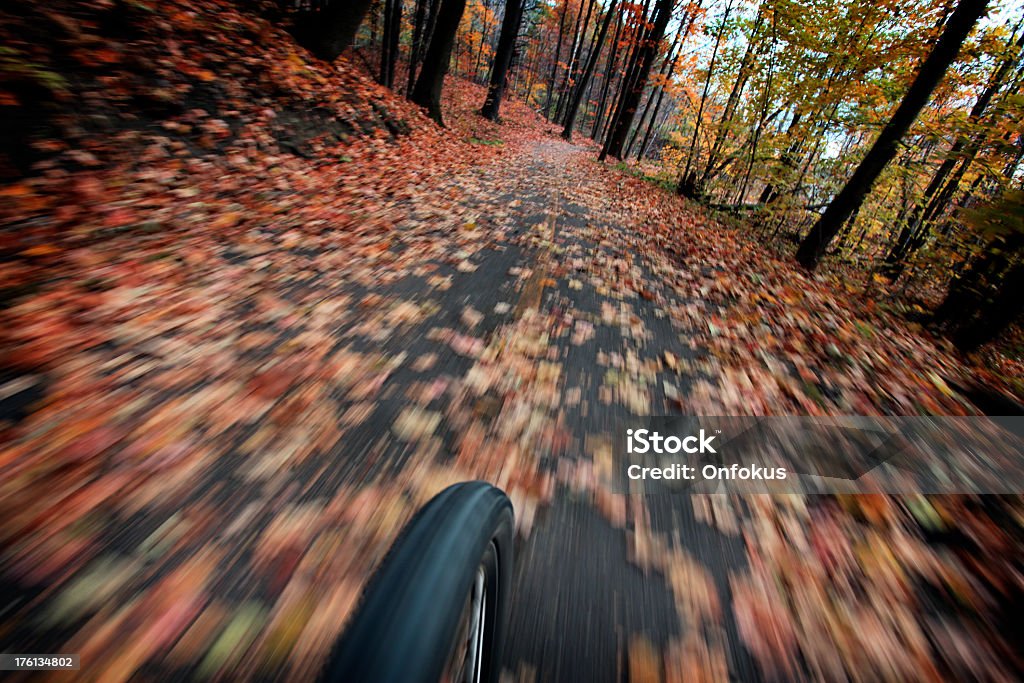 Perspektive Mountain Bike der Rad Beschleunigung auf Cyclepath - Lizenzfrei Baum Stock-Foto