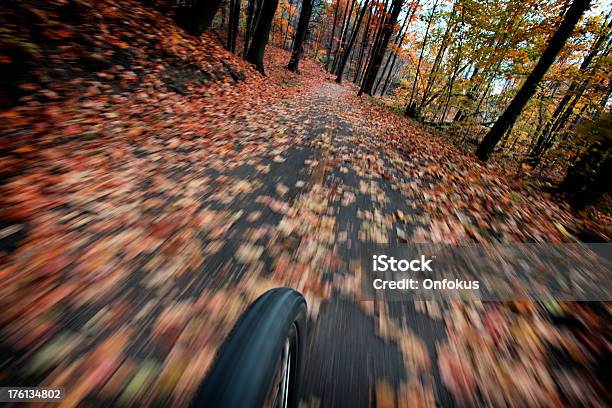 Perspektive Mountain Bike Der Rad Beschleunigung Auf Cyclepath Stockfoto und mehr Bilder von Baum