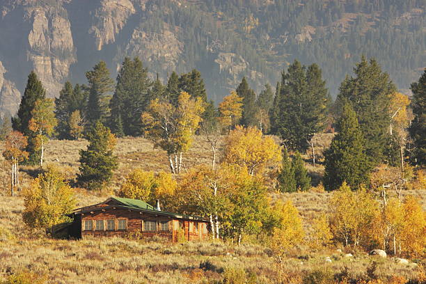 istock Log Cabin Wilderness Mountain Landscape 176135058