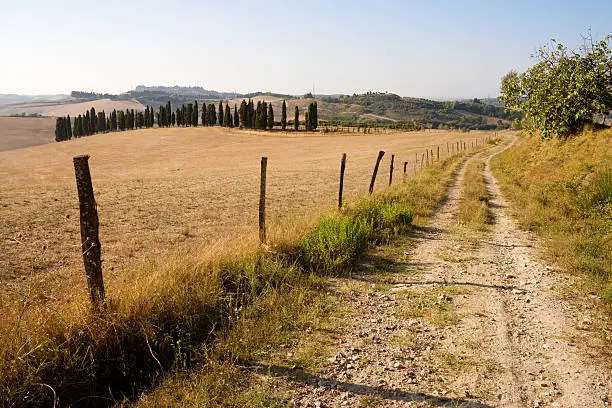 Photo of countyside path