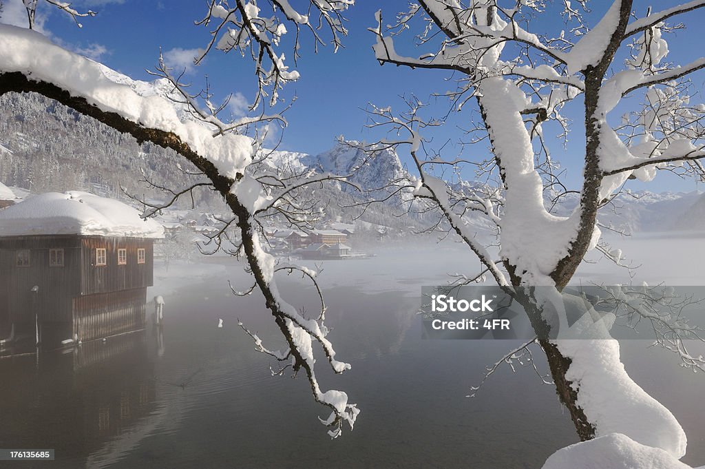 Panorama de inverno do Lago-dia após pesado snowstorms - Royalty-free Ajardinado Foto de stock