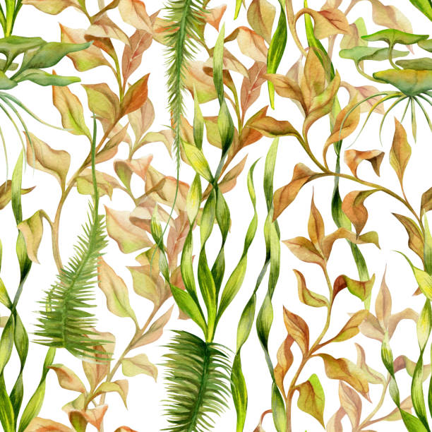 istock Hand drawn watercolor aquarium fish, algae, sealife. Marine exotic underwater illustration. Seamless pattern isolated on white background. Design for shops, brochure, print, card, wall art, textile. 1761358692