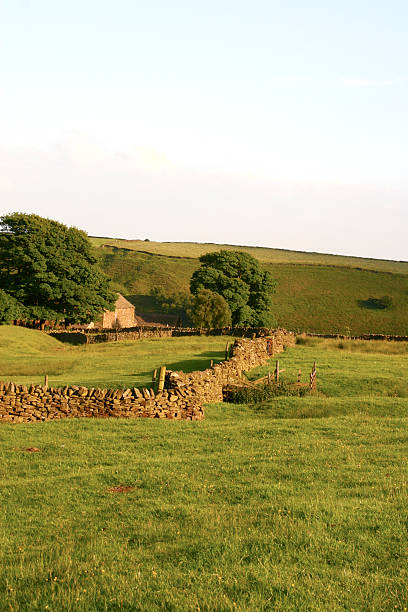 istock Isolated barn in the Peak District National Park 176136104