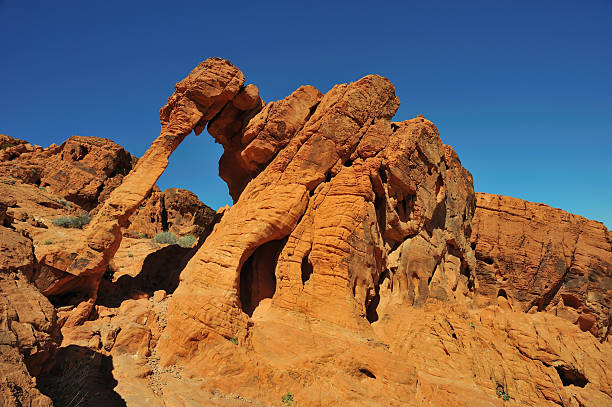 Éléphant Rock, le parc d'État de la Vallée de feu, dans le Nevada - Photo